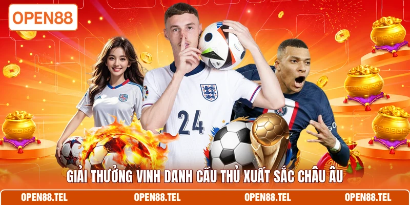 Giải thưởng cầu thủ